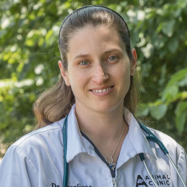 Dr. Sarah Pugliano, Fort Worth Veterinarian